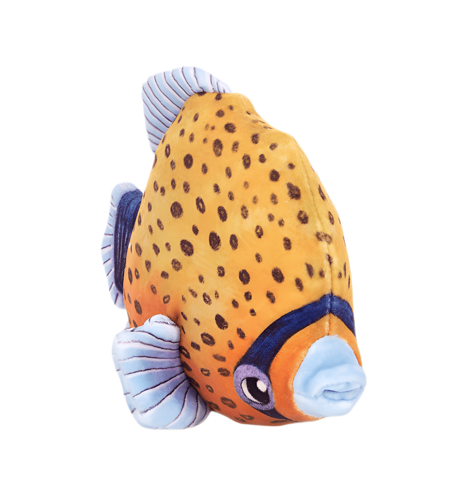 Jellycat Fishiful Orange