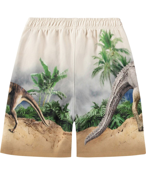 Molo Boys Amil shorts