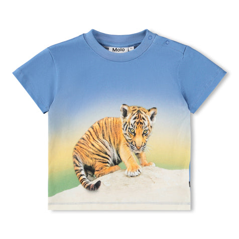 Molo t-shirt enzo