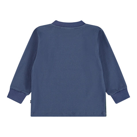 Molo Eloy Blue Dachshund cubs Top