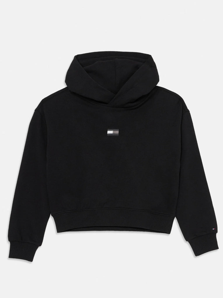 Tommy Hilfiger tonal hoodie