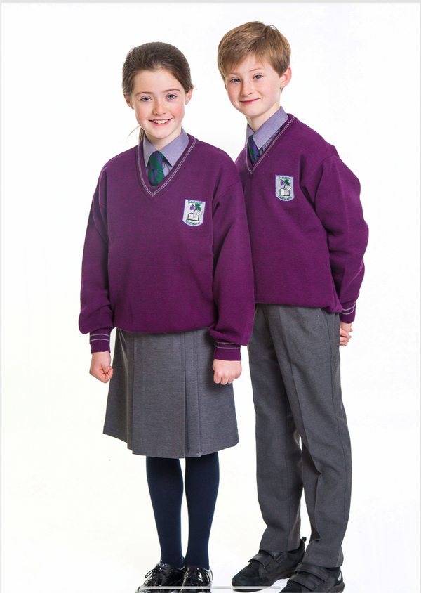 Gaelscoil Crested School Jumper