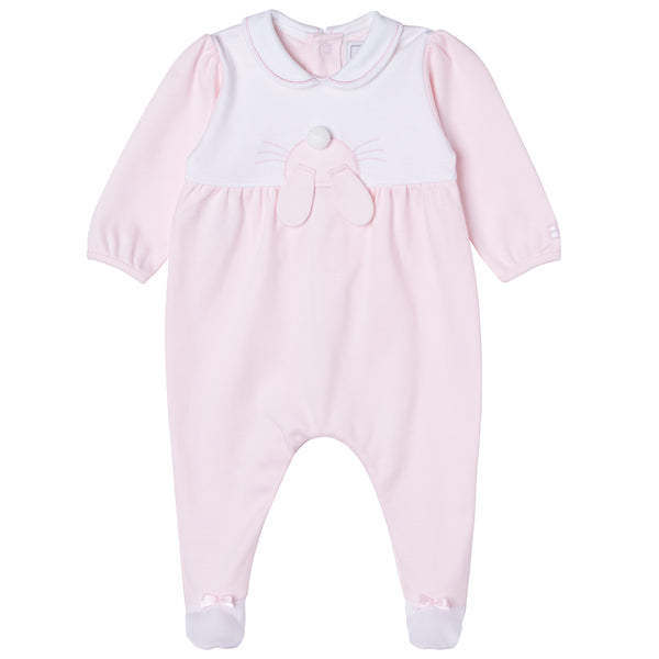 Emile et Rose Babygrow