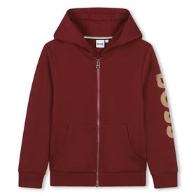 Boss Hoodie