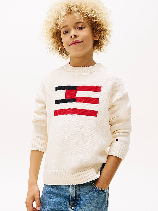 Tommy Hilfiger Jumper