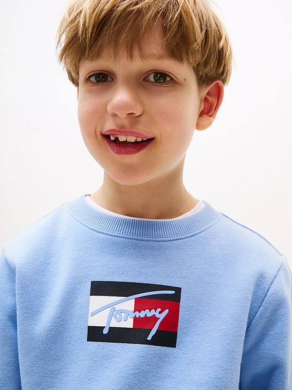 Tommy script flag sweatshirt
