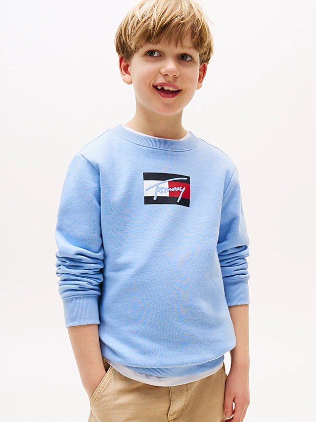 Tommy script flag sweatshirt