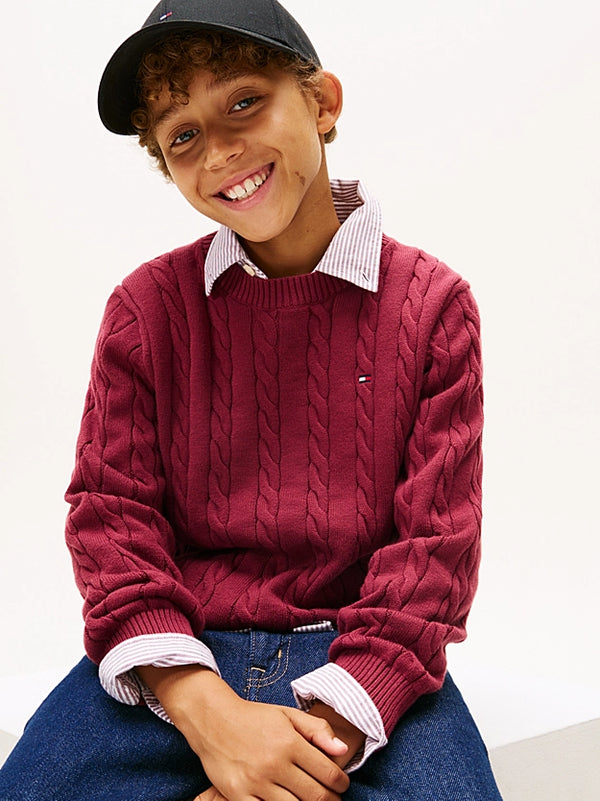 tommy Hilfiger Essential cable knit jumper