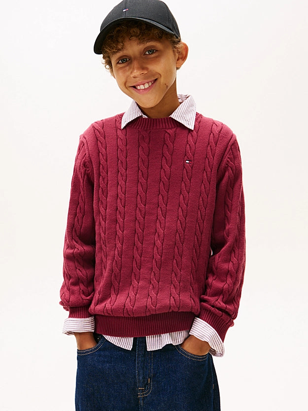 tommy Hilfiger Essential cable knit jumper