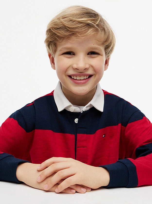 Tommy Hilfiger Regular fit stripe long sleeve polo shirt