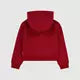 Levis logo hoodie