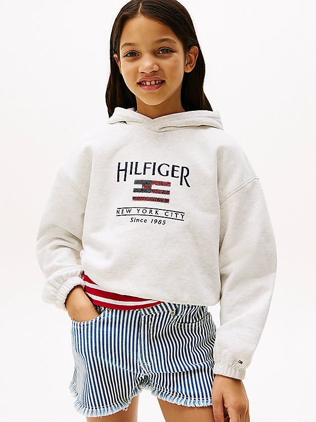 Tommy Hilfiger Hoodie