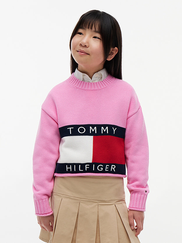 Tommy Hilfiger heritage sweater