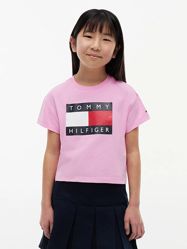 Tommy Hilfiger heritage flag logo t-shirt