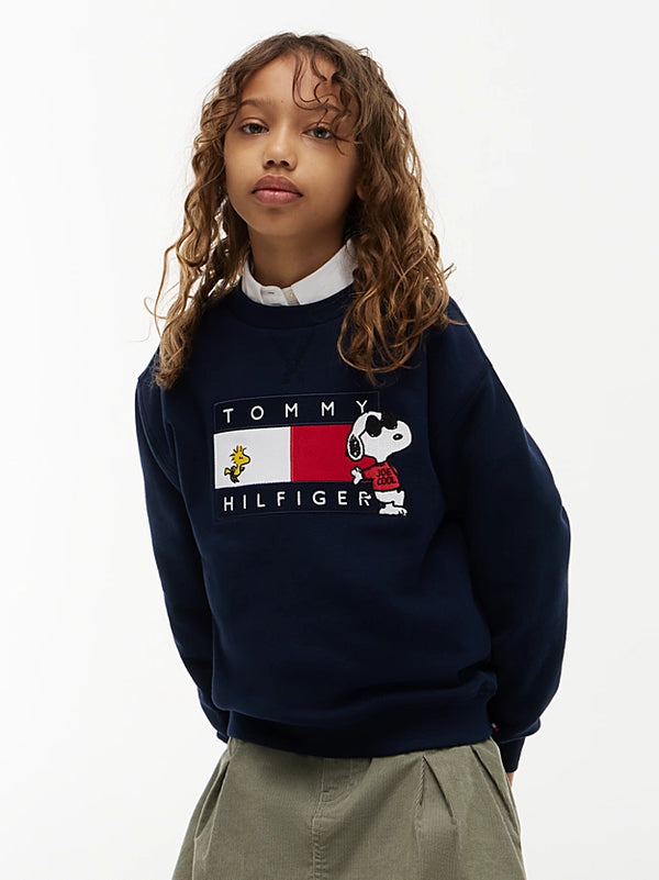 Peanuts® Flag Graphic Embroidery Jumper
