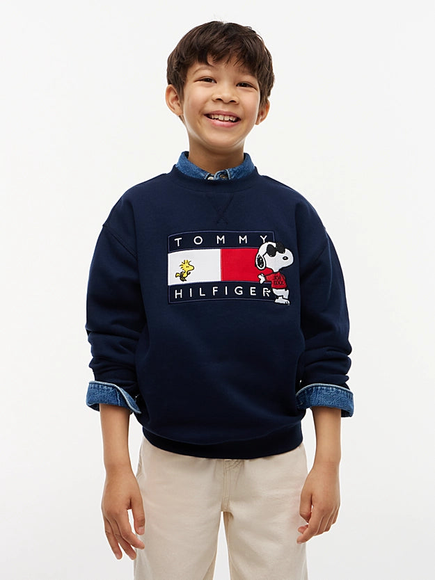 Peanuts® Flag Graphic Embroidery Jumper