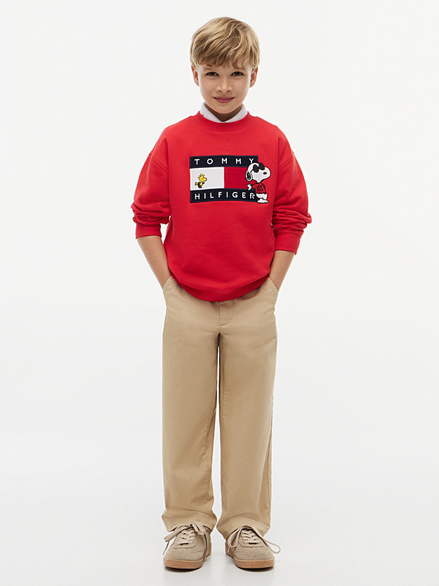 Peanuts® Flag Graphic Embroidery Jumper