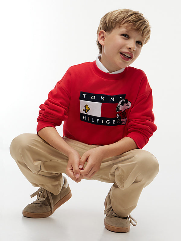 Peanuts® Flag Graphic Embroidery Jumper