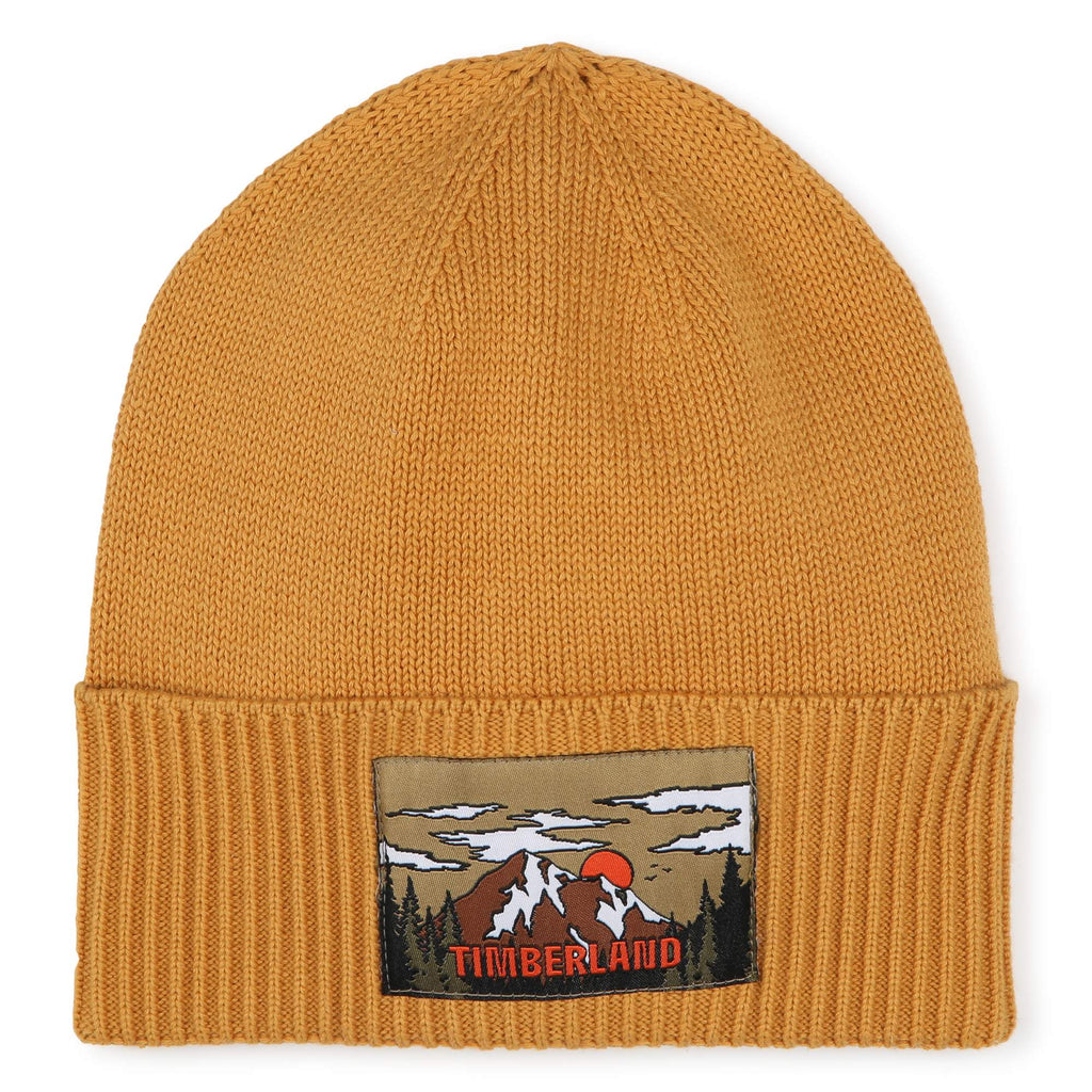 Timberland hat