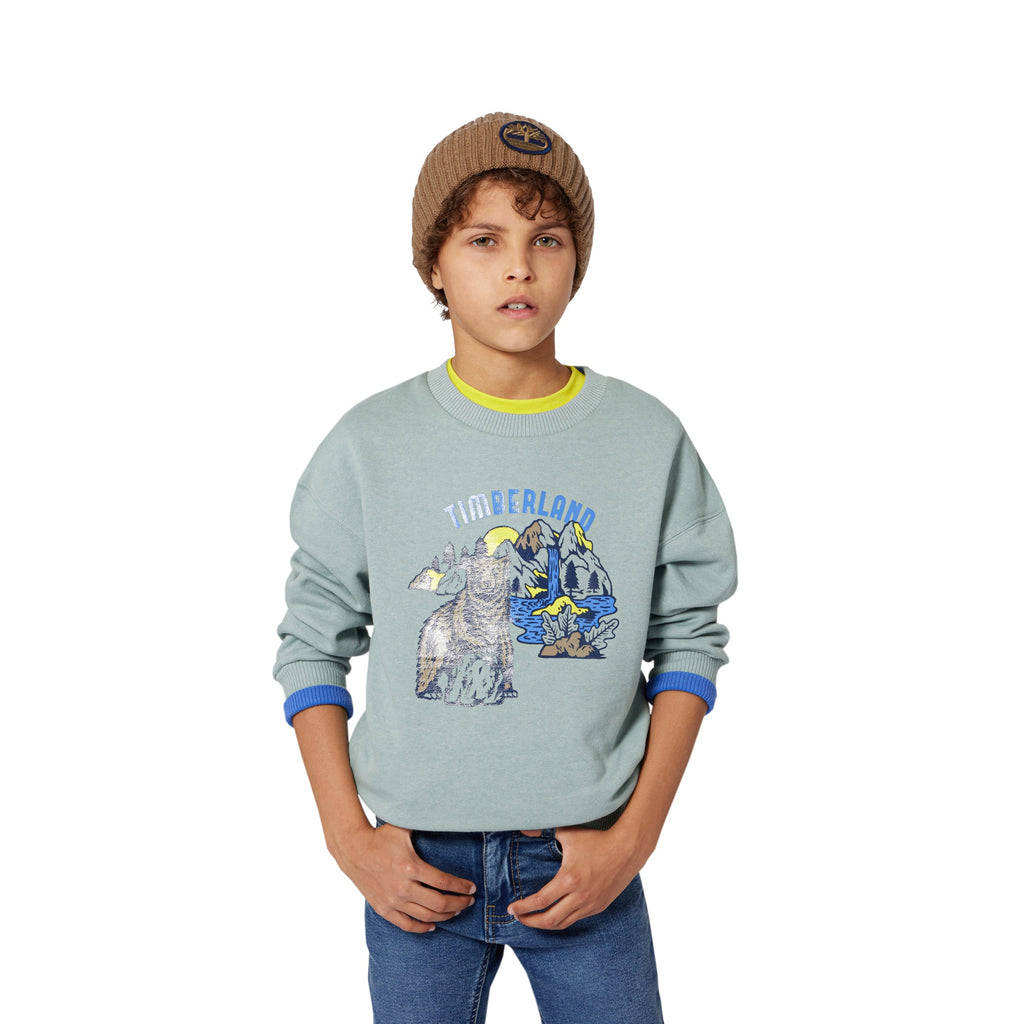 Timberland Sweatshirt T60543