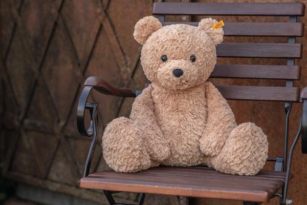 Steiff Jimmy Teddy Bear 067181