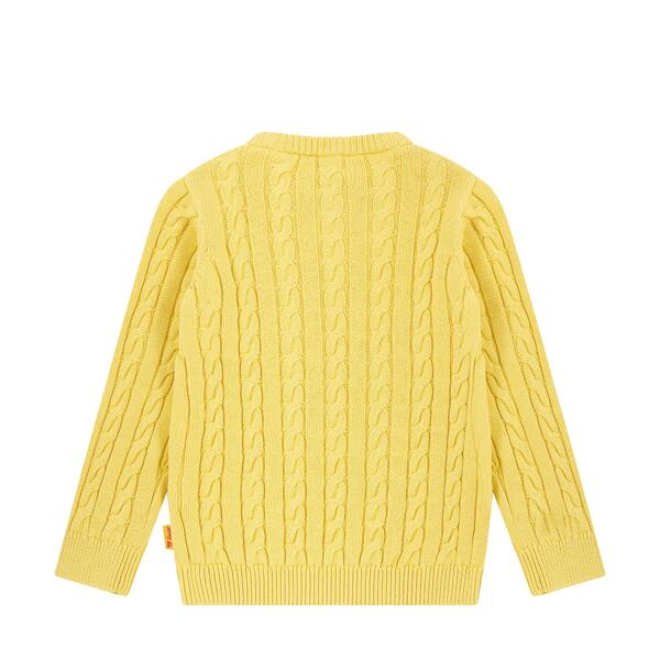 Steiff Boys Cable Knit Jumper L002521140