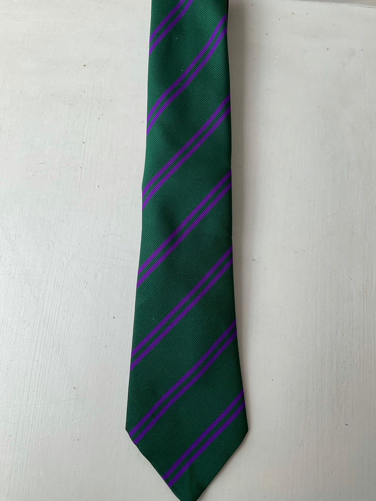 Gaelscoil Standard School Tie